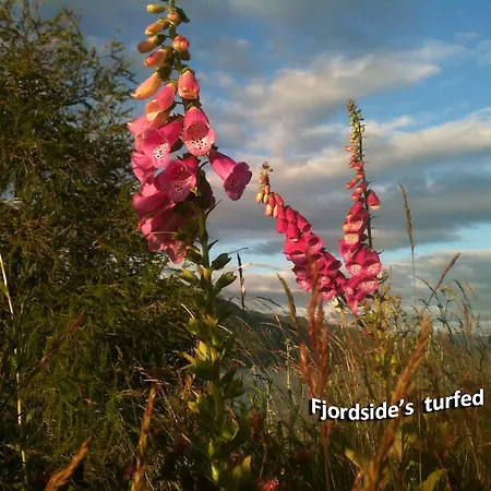 Fjordside * Hordvik